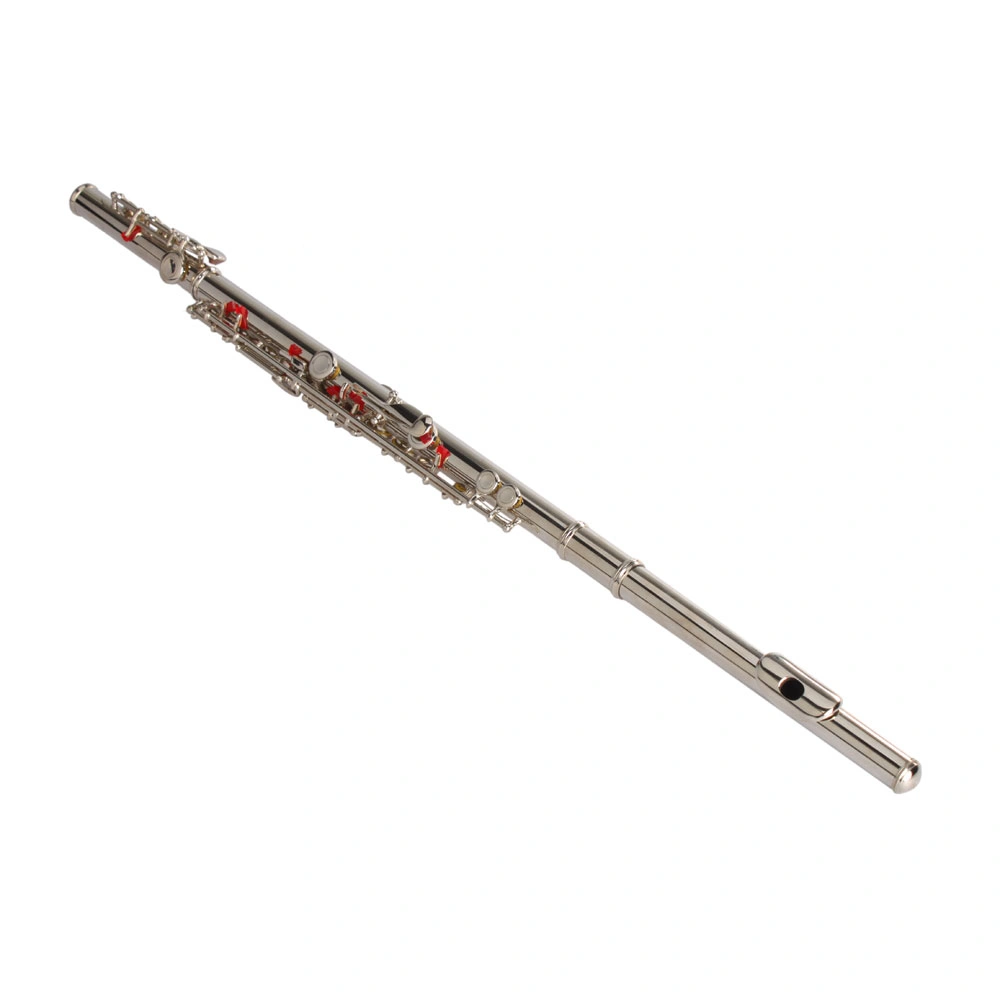 Nickel Plated C Closed Hole Concert Band Flute with E Key view 10