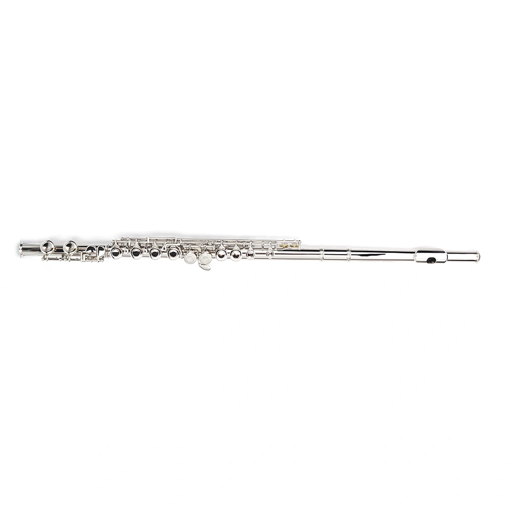 Nickel Plated C Closed Hole Concert Band Flute with E Key view 12