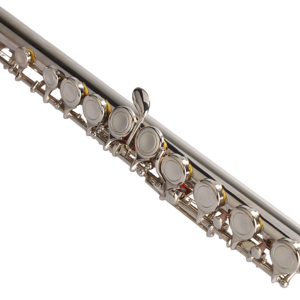 Nickel Plated C Closed Hole Concert Band Flute with E Key view 14