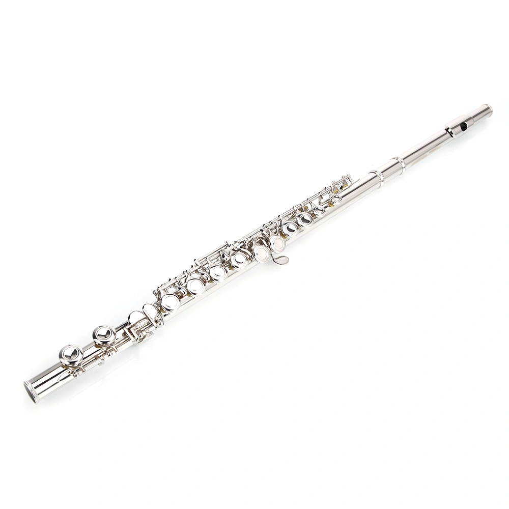 Nickel Plated C Closed Hole Concert Band Flute with E Key view 18