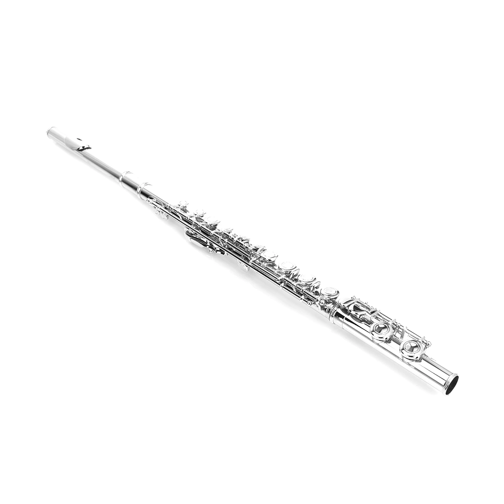 Nickel Plated C Closed Hole Concert Band Flute with E Key view 19