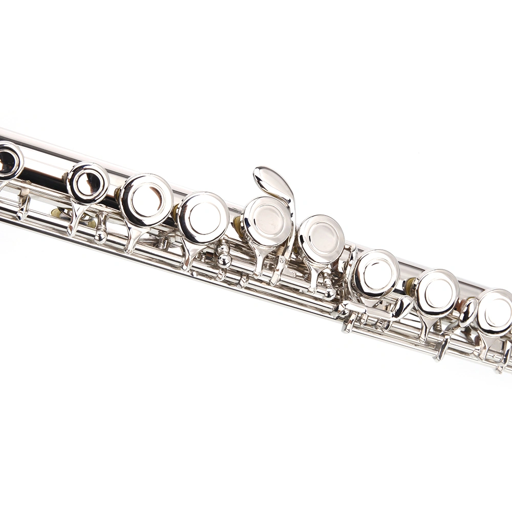 Nickel Plated C Closed Hole Concert Band Flute with E Key view 2