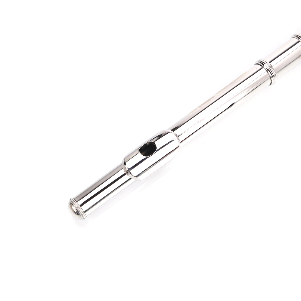 Nickel Plated C Closed Hole Concert Band Flute with E Key view 21