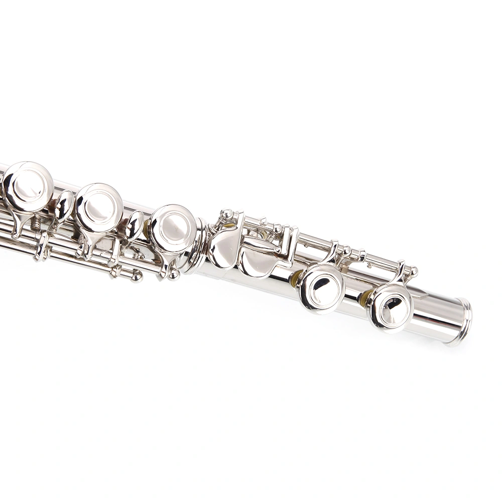 Nickel Plated C Closed Hole Concert Band Flute with E Key view 3