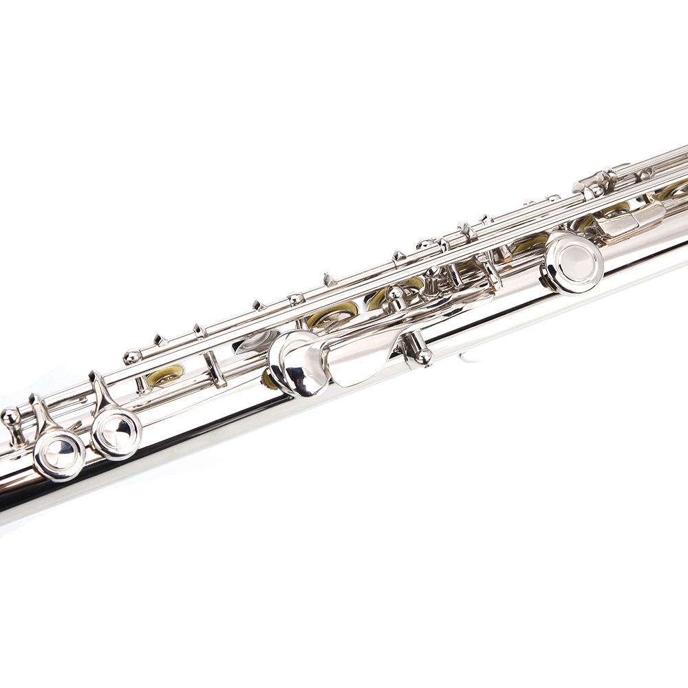 Nickel Plated C Closed Hole Concert Band Flute with E Key view 4