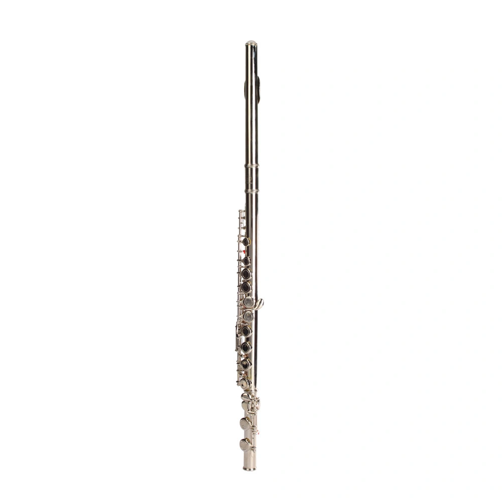 Nickel Plated C Closed Hole Concert Band Flute with E Key view 8