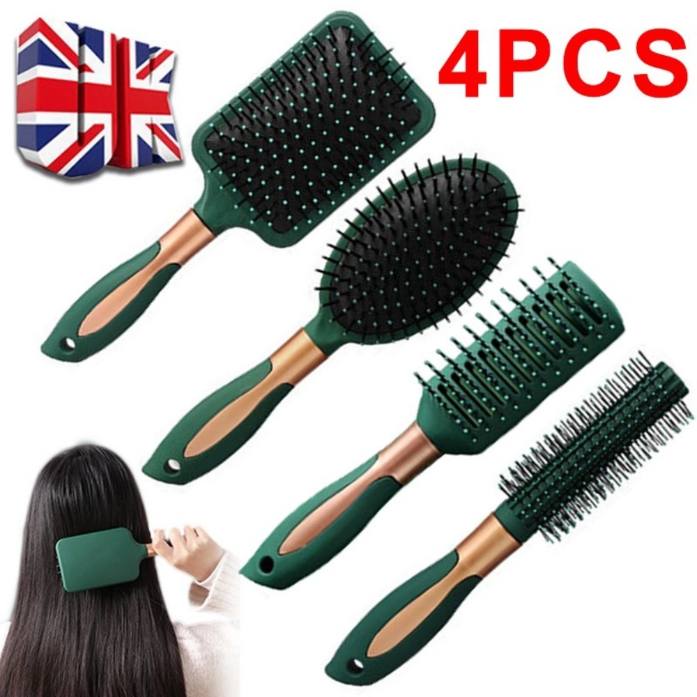 4Pcs Hair Brush Set Professional Salon Hairbrush & Comb for Women Massaging Styling