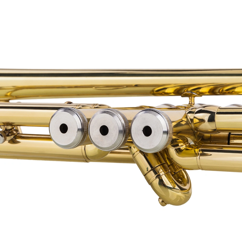 Adjustable Drop Bb Trumpet and Gloves Gift Set - Gold Metallic Finish view 10