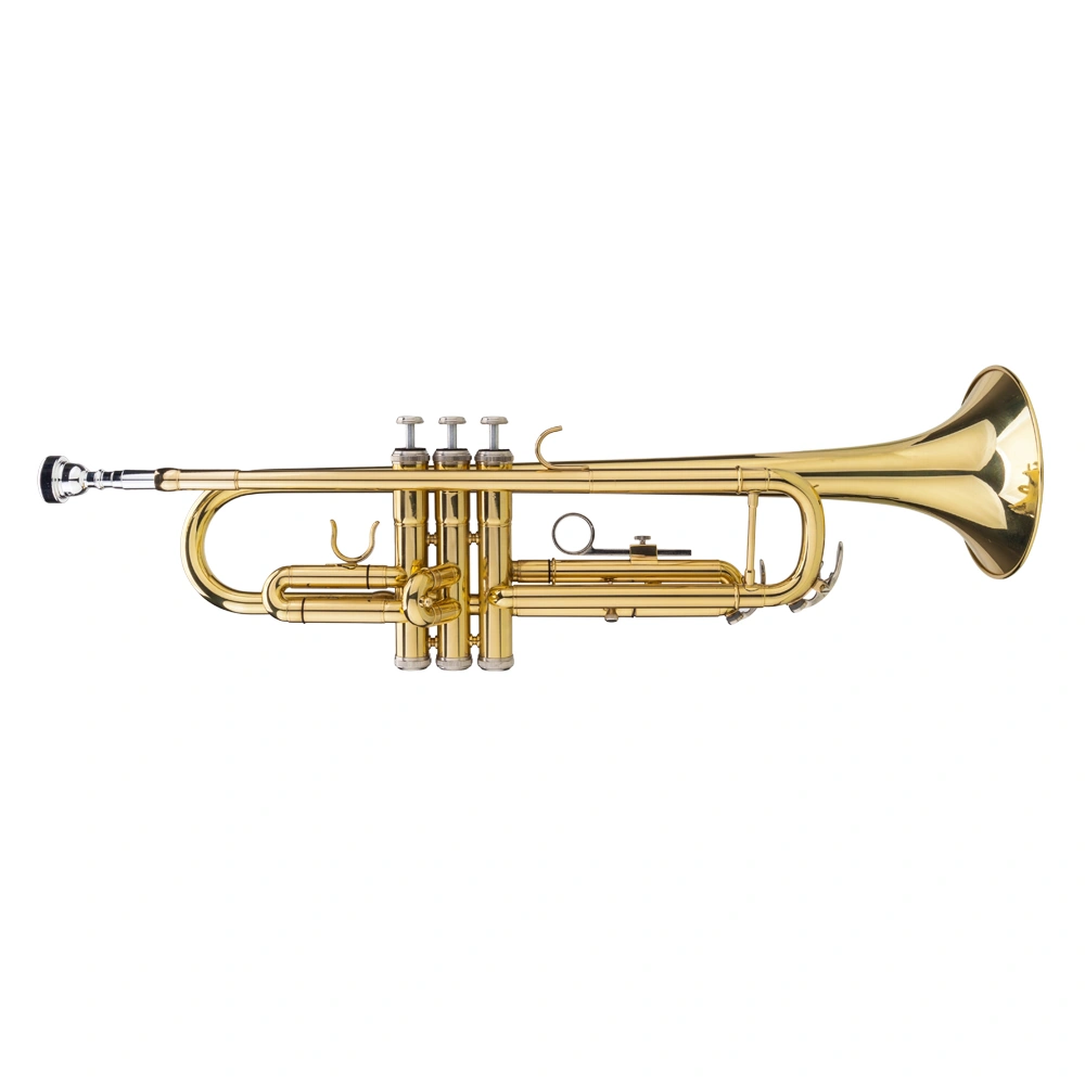Adjustable Drop Bb Trumpet and Gloves Gift Set - Gold Metallic Finish view 2