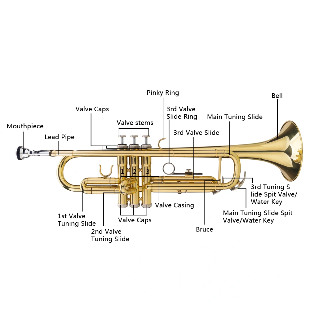 Adjustable Drop Bb Trumpet and Gloves Gift Set - Gold Metallic Finish view 3