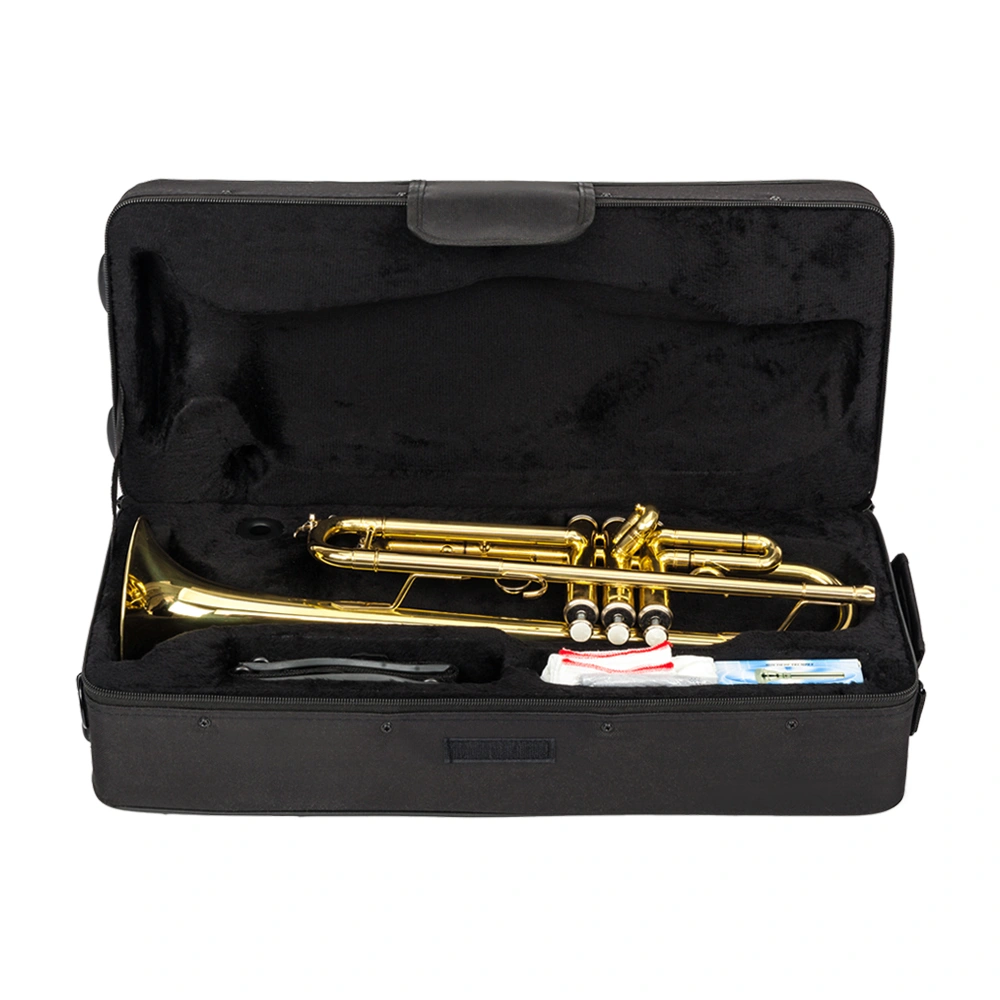 Adjustable Drop Bb Trumpet and Gloves Gift Set - Gold Metallic Finish view 8
