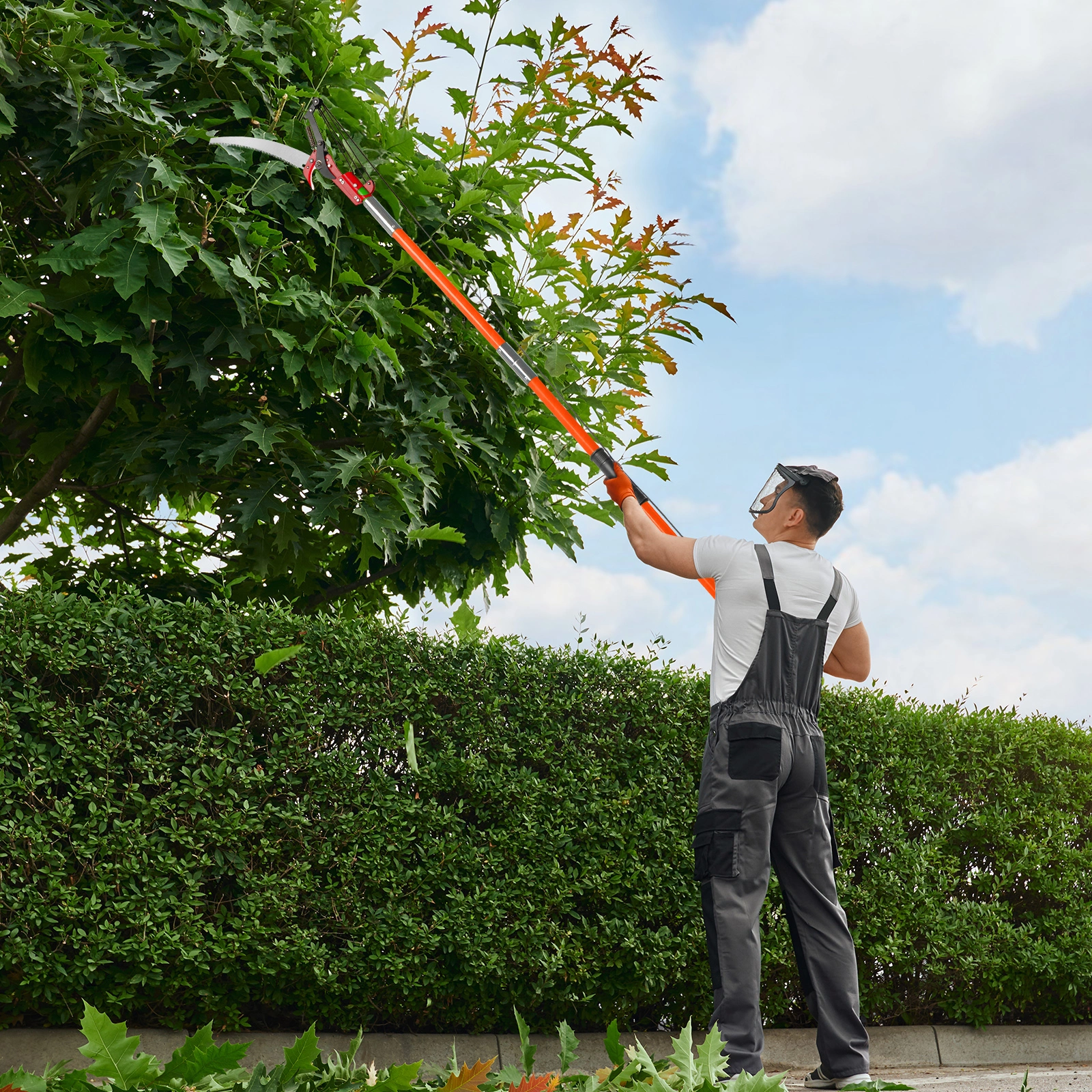 26ft Manual Pole Saw, Lightweight Tree Trimmers Long Handle Pruner Set, Sharp Steel Blade and Scissors Pole Saw for Trimming Palm, Pear Tree, Fir Tree, Other High Trees and Shrubs view 11