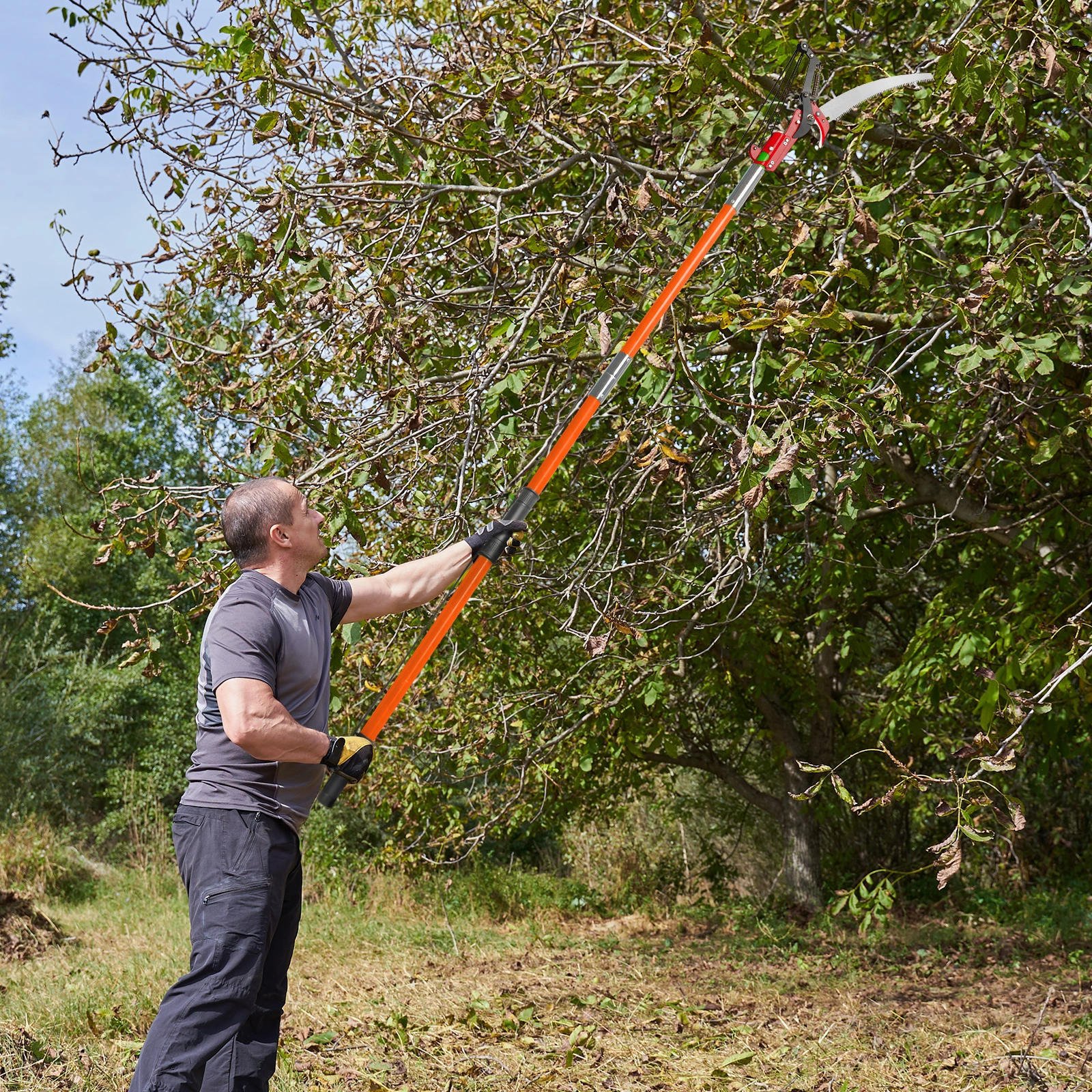 26ft Manual Pole Saw, Lightweight Tree Trimmers Long Handle Pruner Set, Sharp Steel Blade and Scissors Pole Saw for Trimming Palm, Pear Tree, Fir Tree, Other High Trees and Shrubs view 12