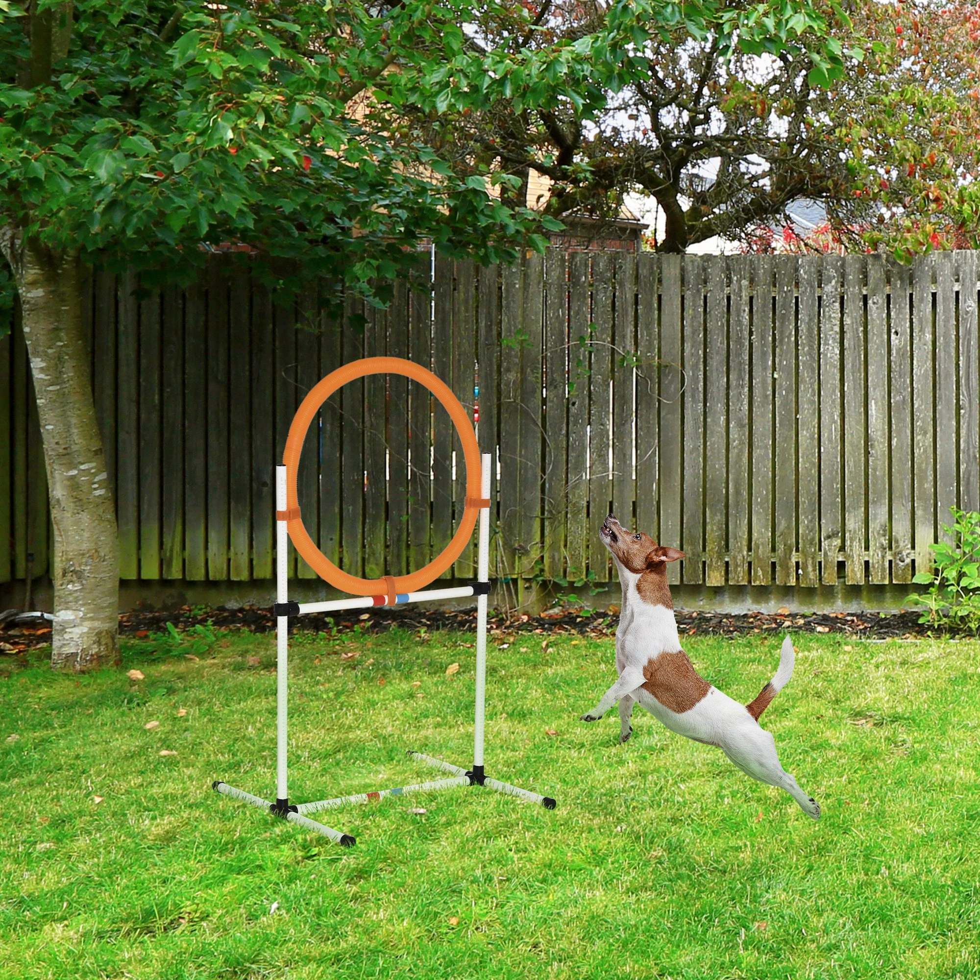 Dog Agility Training Equipment, Outdoor Pet Obstacle Course Gear for Dogs