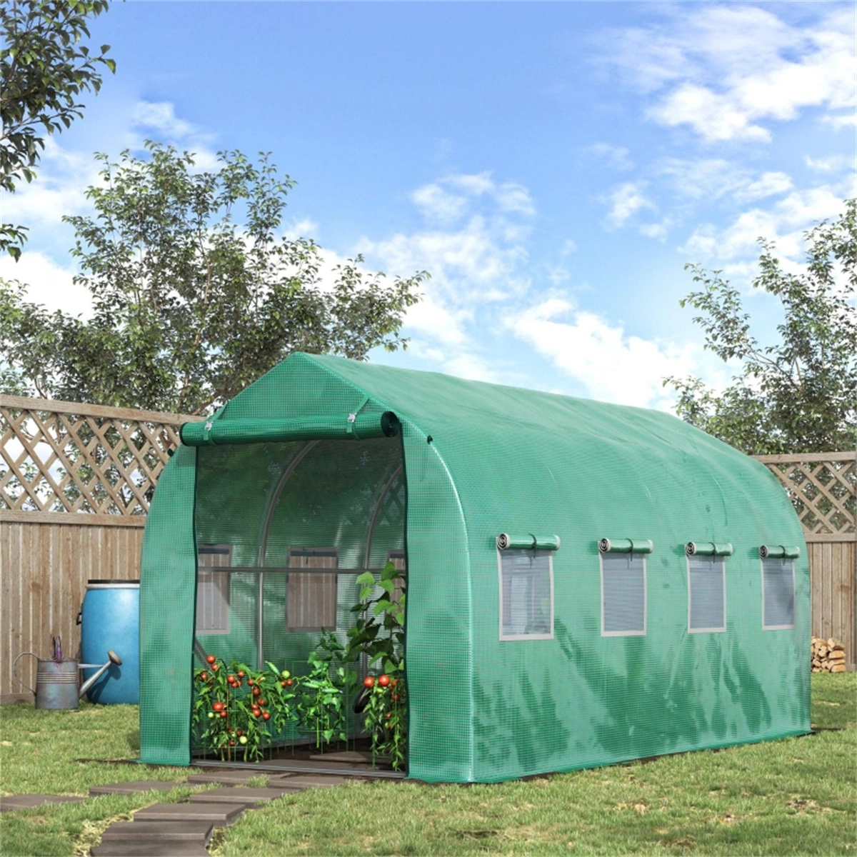Polytunnel Greenhouse Tent for Garden Plant Growing, Outdoor Greenhouse