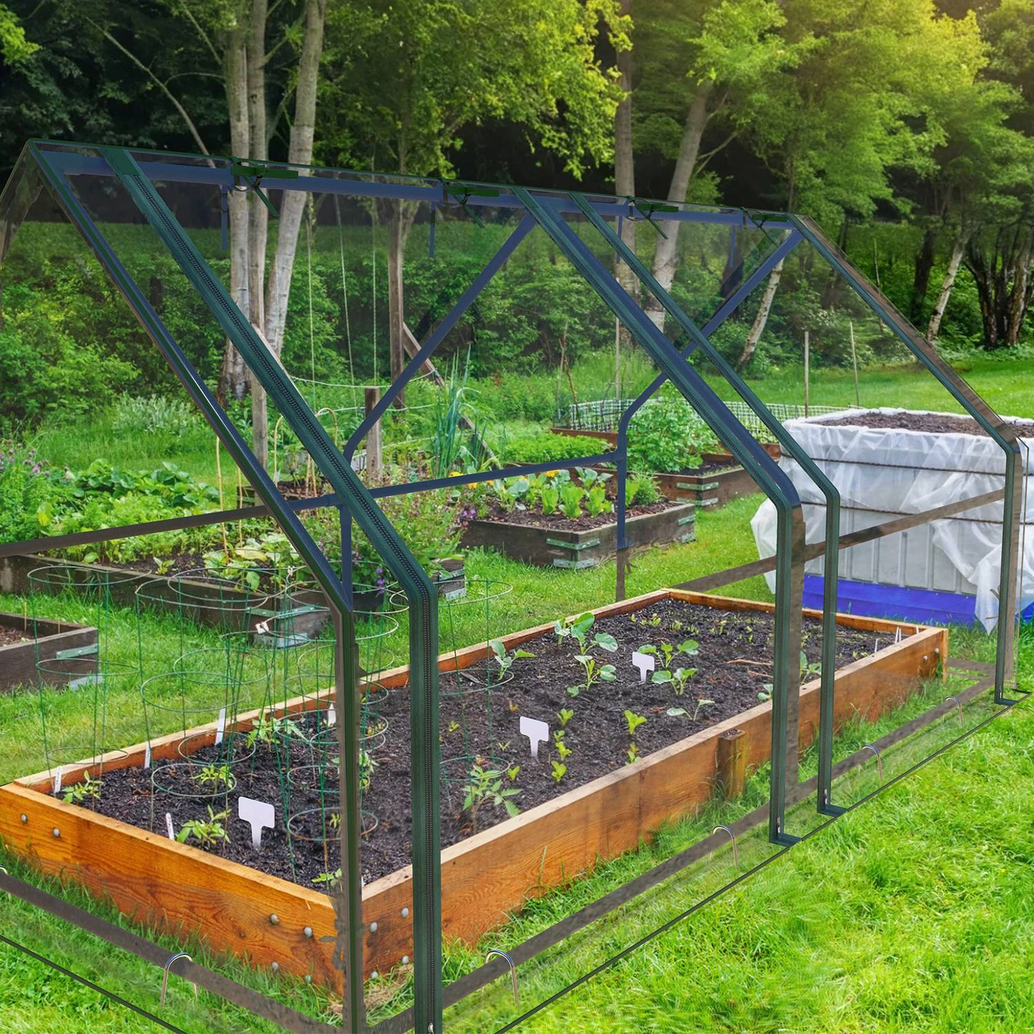 70.86*33.46*37.4 in Portable Mini Greenhouse With Roll-Up Zipper Doors Waterproof UV-Resistant PVC Cover Hot House For Indoor Outdoor Garden Patio Backyard view 9