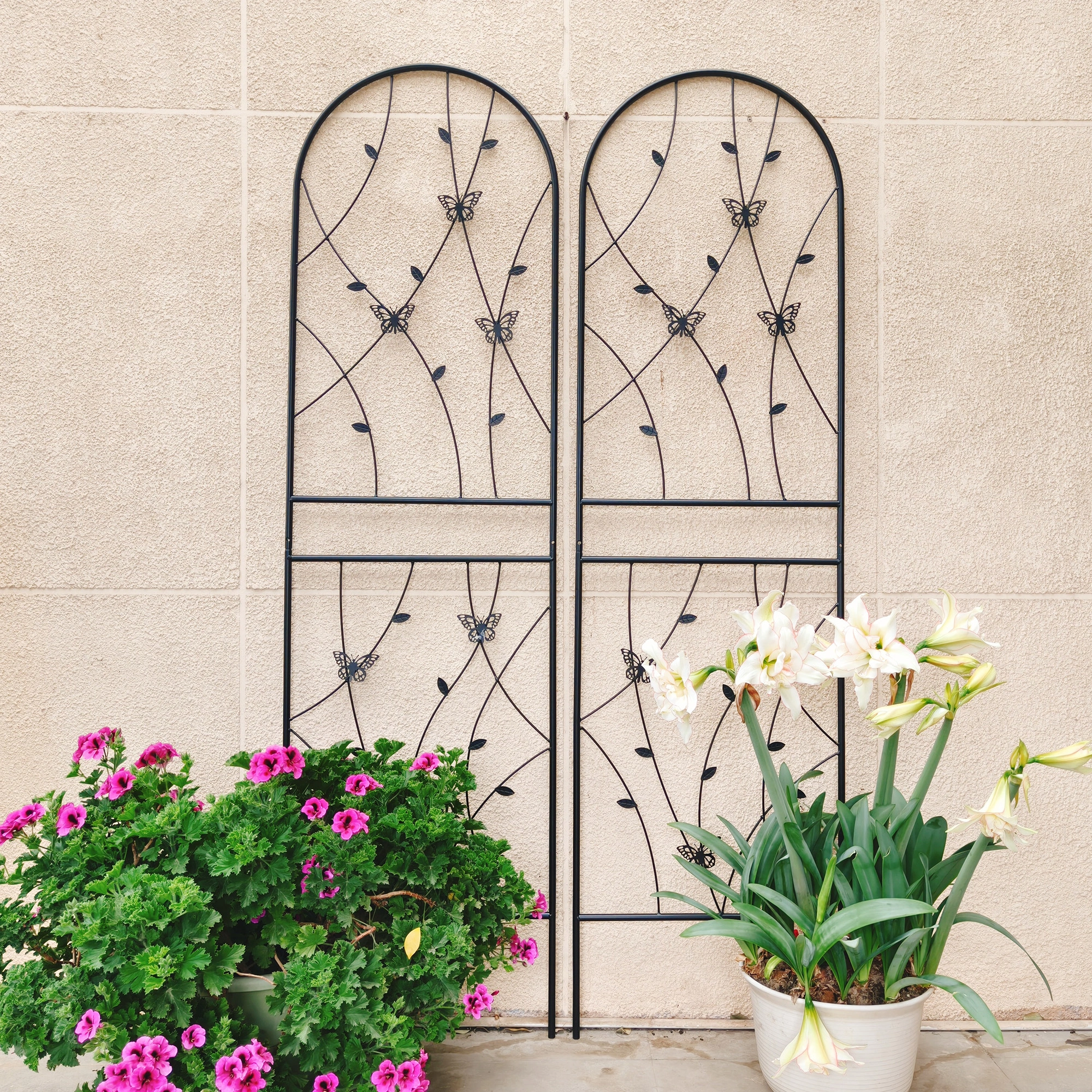 4 Pack Metal Garden Trellis 71" x 19.7" Rustproof Butterfly Wall Panel for Climbing Plants Outdoor Flower Support Black view 10