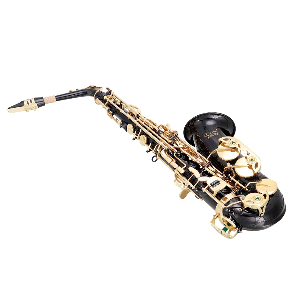 Alto Saxophone Eb E-Flat in Black - 11 Reeds, Hard Case & Care Kit Bundle for Students Beginners view 10