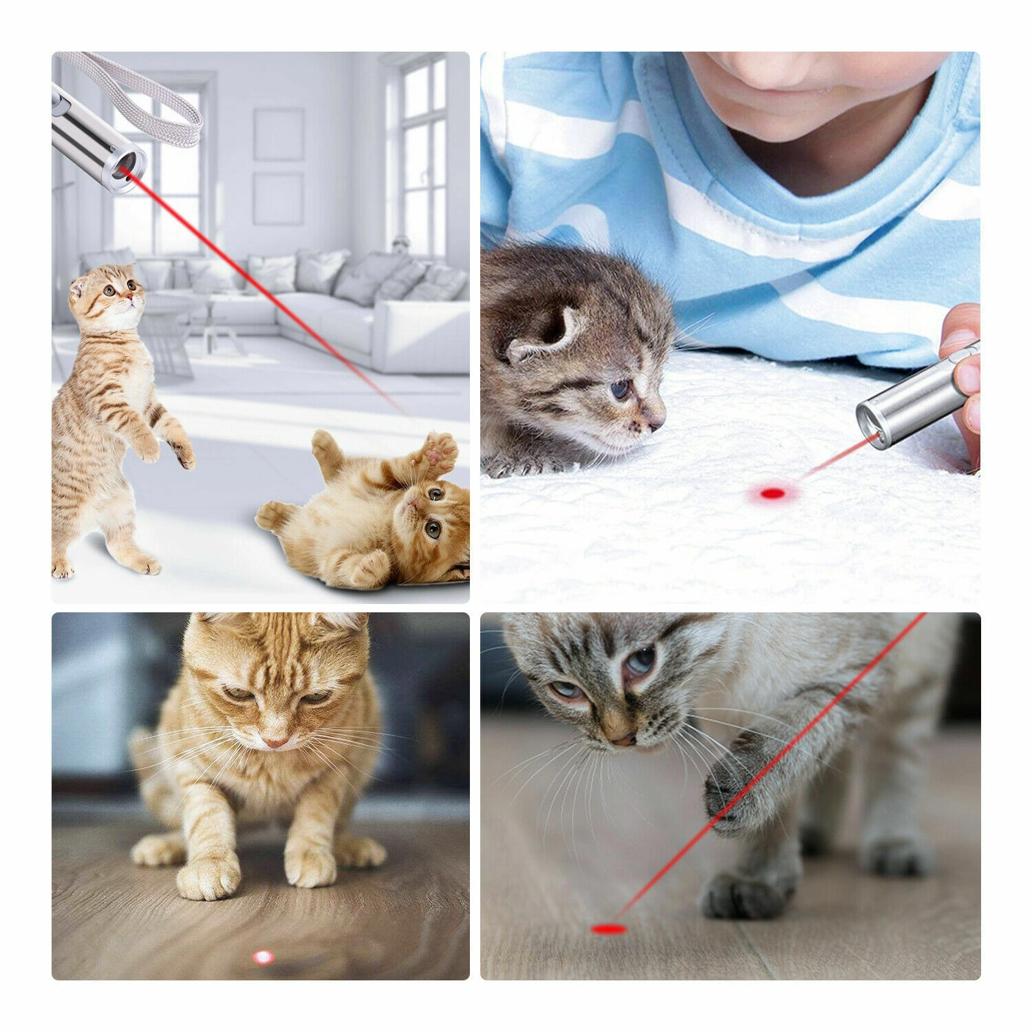 3 in1 1mw USB Rechargeable Pet Toy Pen Flashlight Red laser Beam UV Light 3-Modes Lamp (US Logistics For USPS/DHL/Fedex/UPS. No designated logistics accepted,TK/TMEU only For self-pickup) view 7