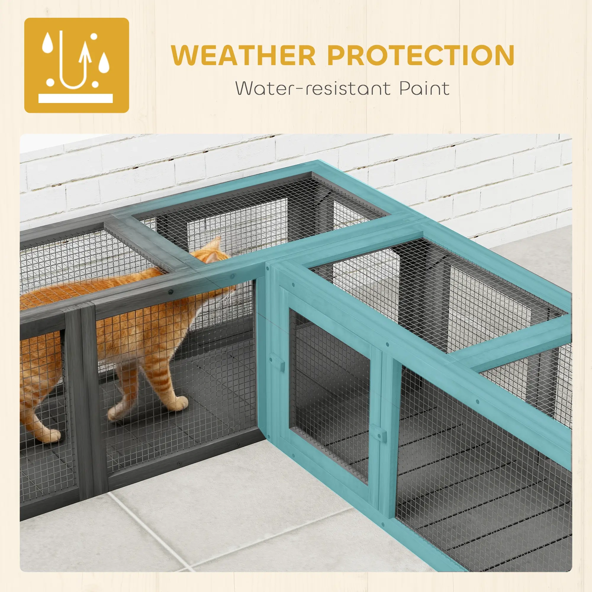 Collapsible Cat Tunnel Toy for Indoor Cats and Kittens view 6