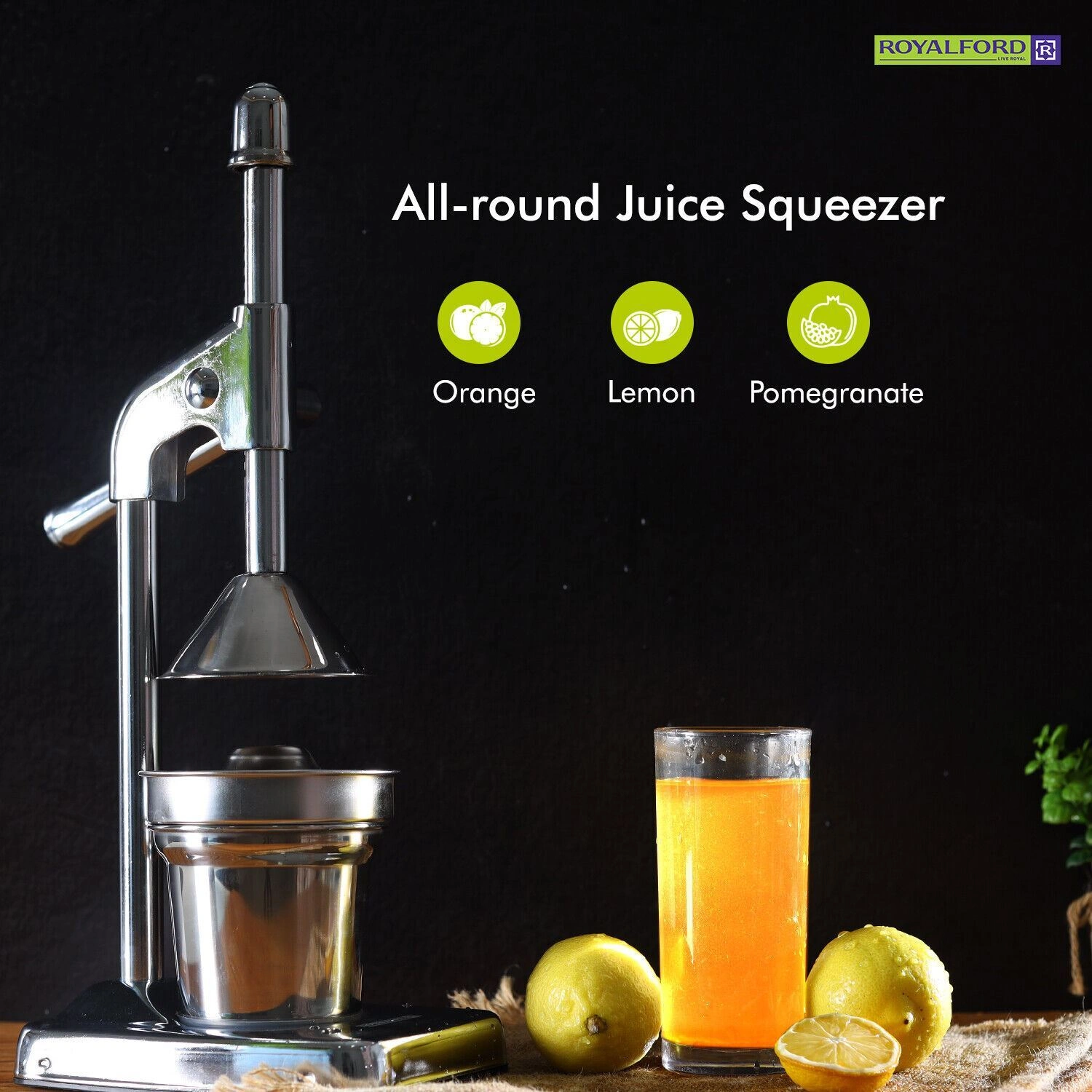 Manual Citrus Juicer Hand Press - Stainless Steel Lemon Lime Fruit Squeezer Extractor view 3