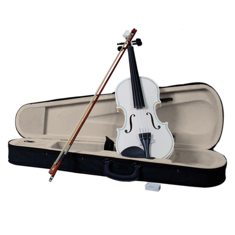 4/4 Full Size Acoustic Violin Complete Kit with Hard Case Bow Rosin White Finish