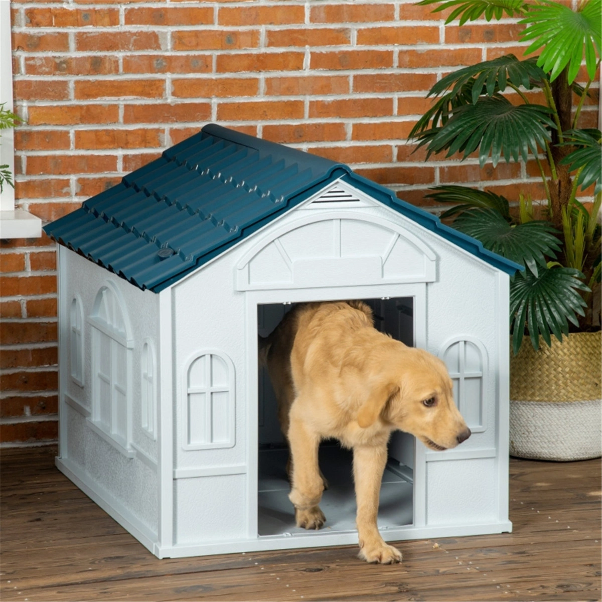 24" Small Foldable Dog Crate, Portable Pet Carrier with Safety Lock, Soft Pad Included, Black