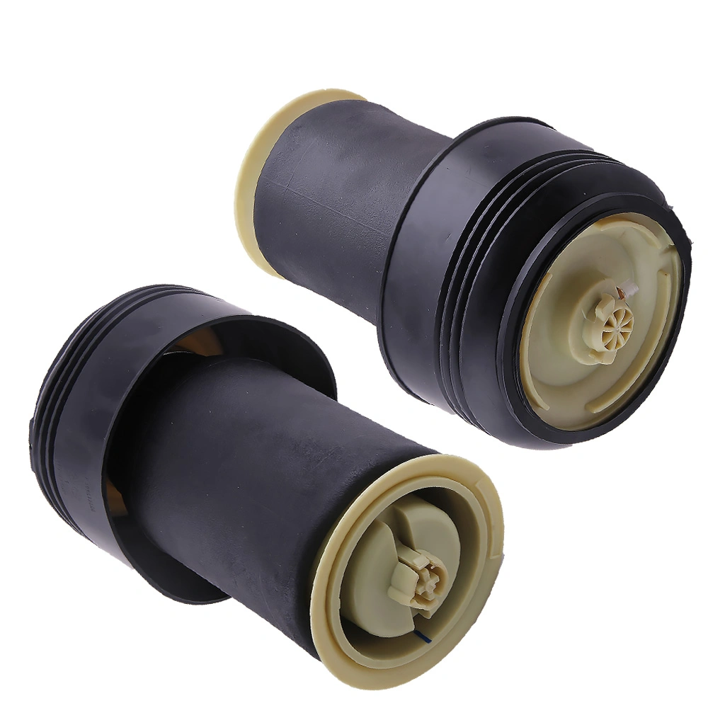 2x Rear Air Spring Bag For BMW X5 E70 3.0L 2007-2009 For BMW X6 E71 E72 4.4L 2010-2011 37126790078