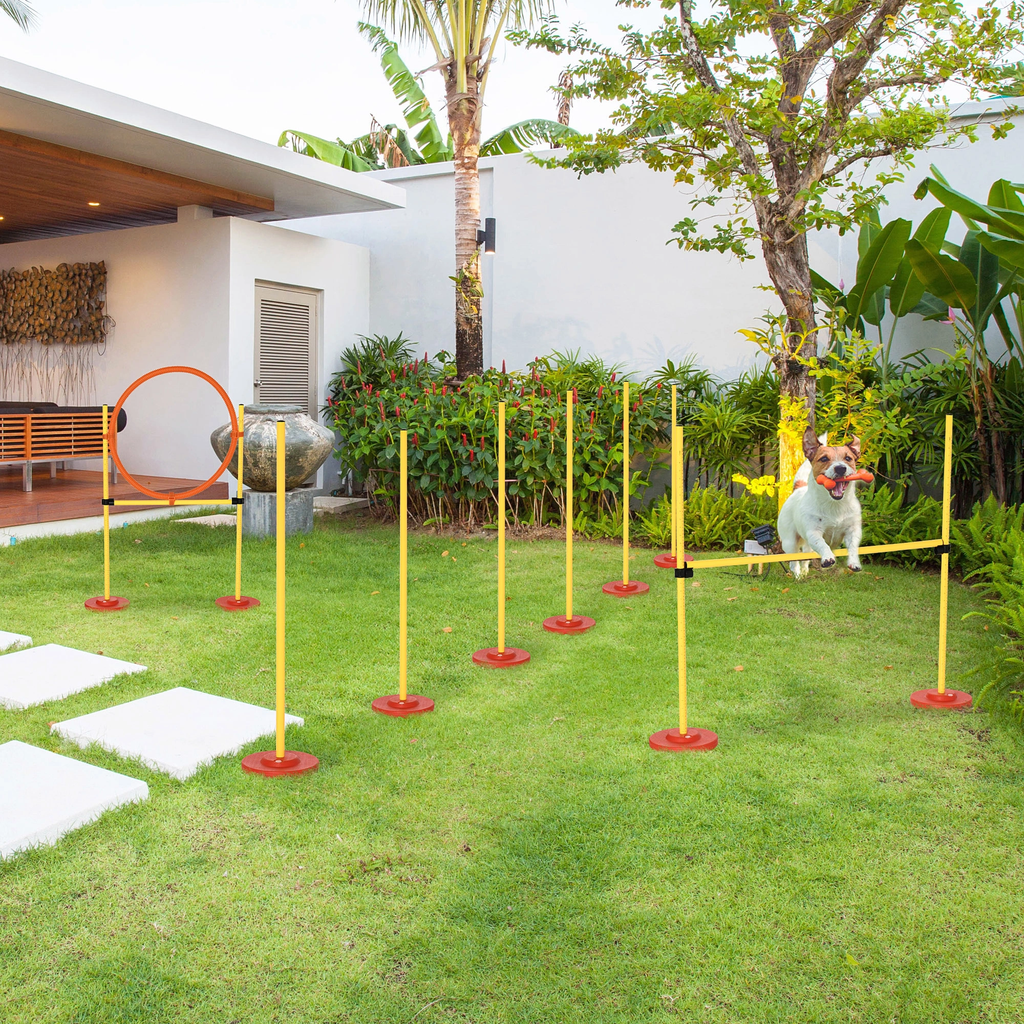 Dog Agility Training Equipment Set - Obstacle Course Toys for Small Medium Large Dogs, Outdoor Indoor Play, Complete Agility Kit with Jumps, Tunnels & Weave Poles