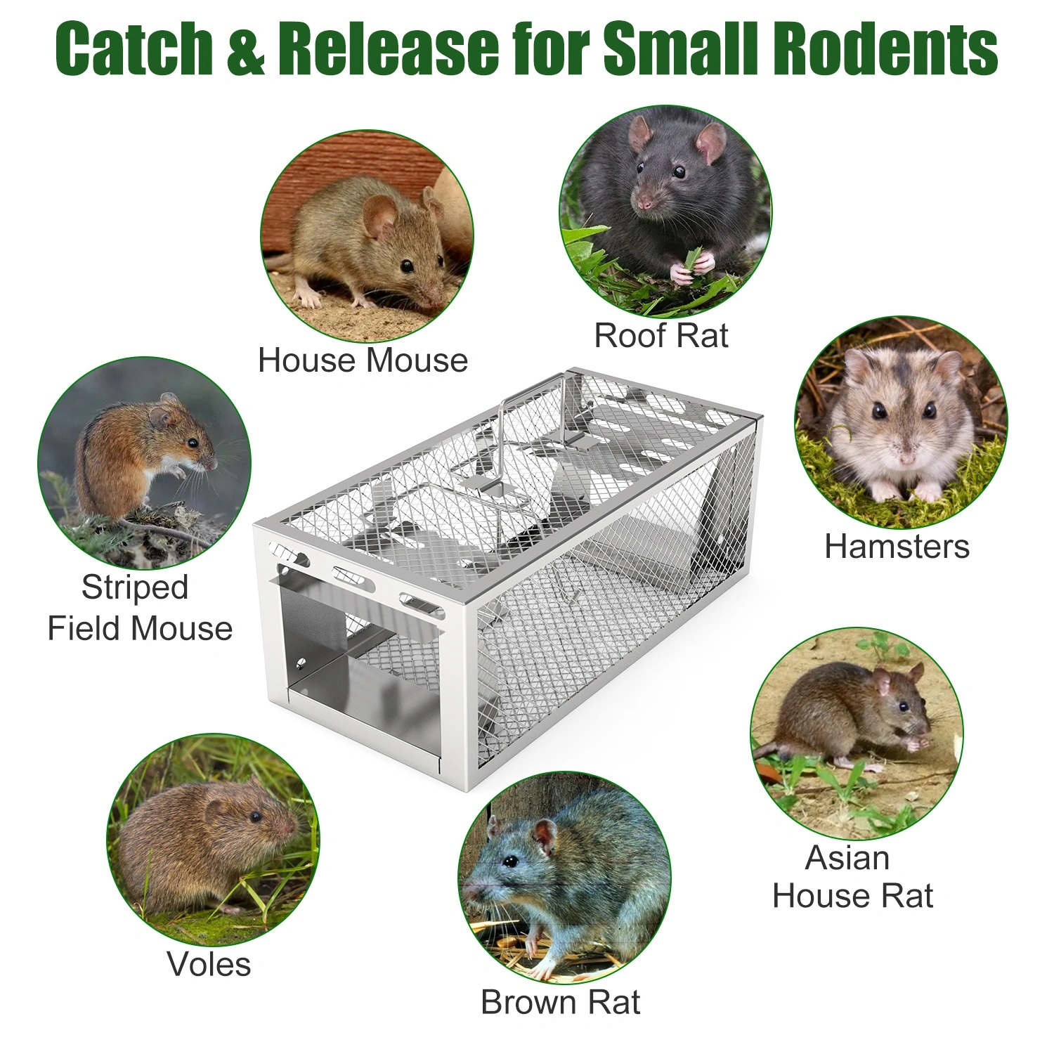 2 pcs Dual-Door Humane Rat Trap - Continuous Mouse Catching, Heavy-Duty Galvanized Iron Construction - Safe for Pets & Kids, Indoor/Outdoor Use, 3S Quick Setup view 6