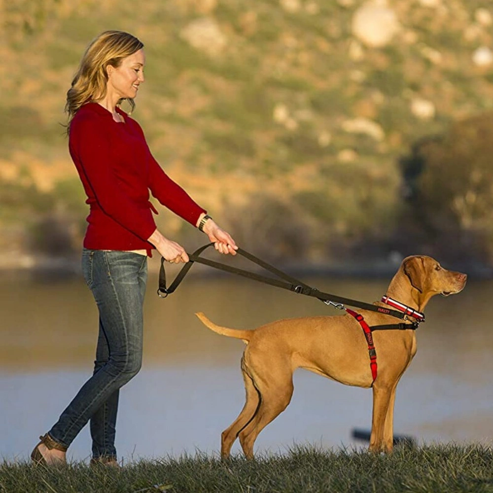 Dog Lead 8ft Adjustable Double ended Control Training Leash-Police Style NEW view 4