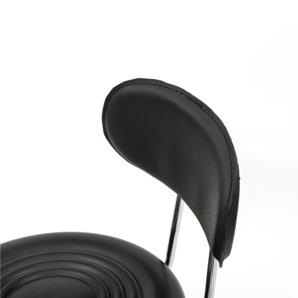 Round Shape Adjustable Salon Stool with Back and Line Black view 5