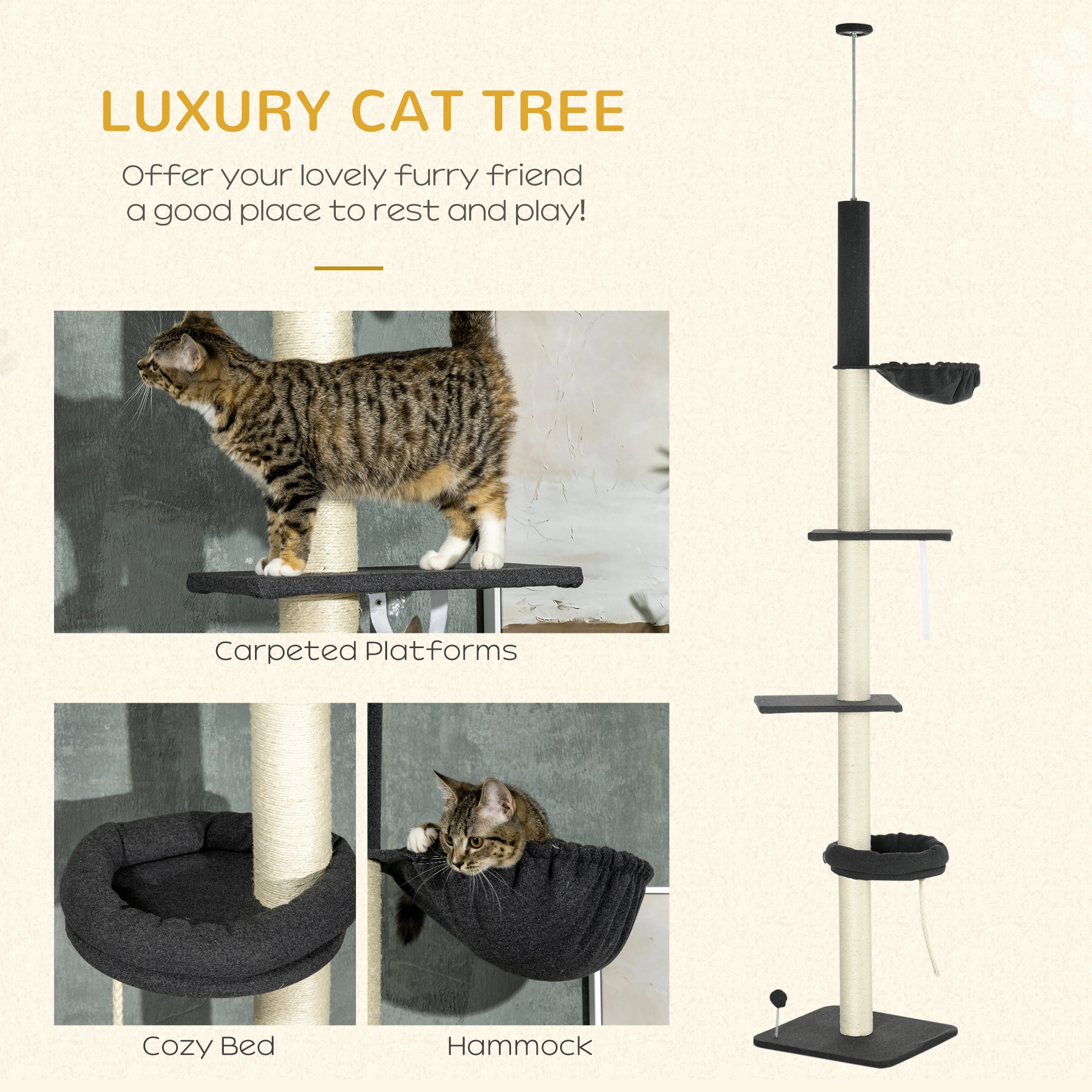 Cat Tree view 3