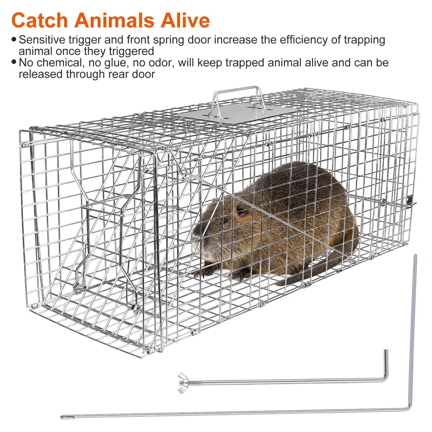 Humane Animal Trap Cage 30.51x11.02x11.81in, Galvanized Wire Mesh, Sensitive Trigger Dual Doors, Handle Guard Plate, Collapsible for Raccoons/Opossums/Skunks Under 16.5lbs view 11