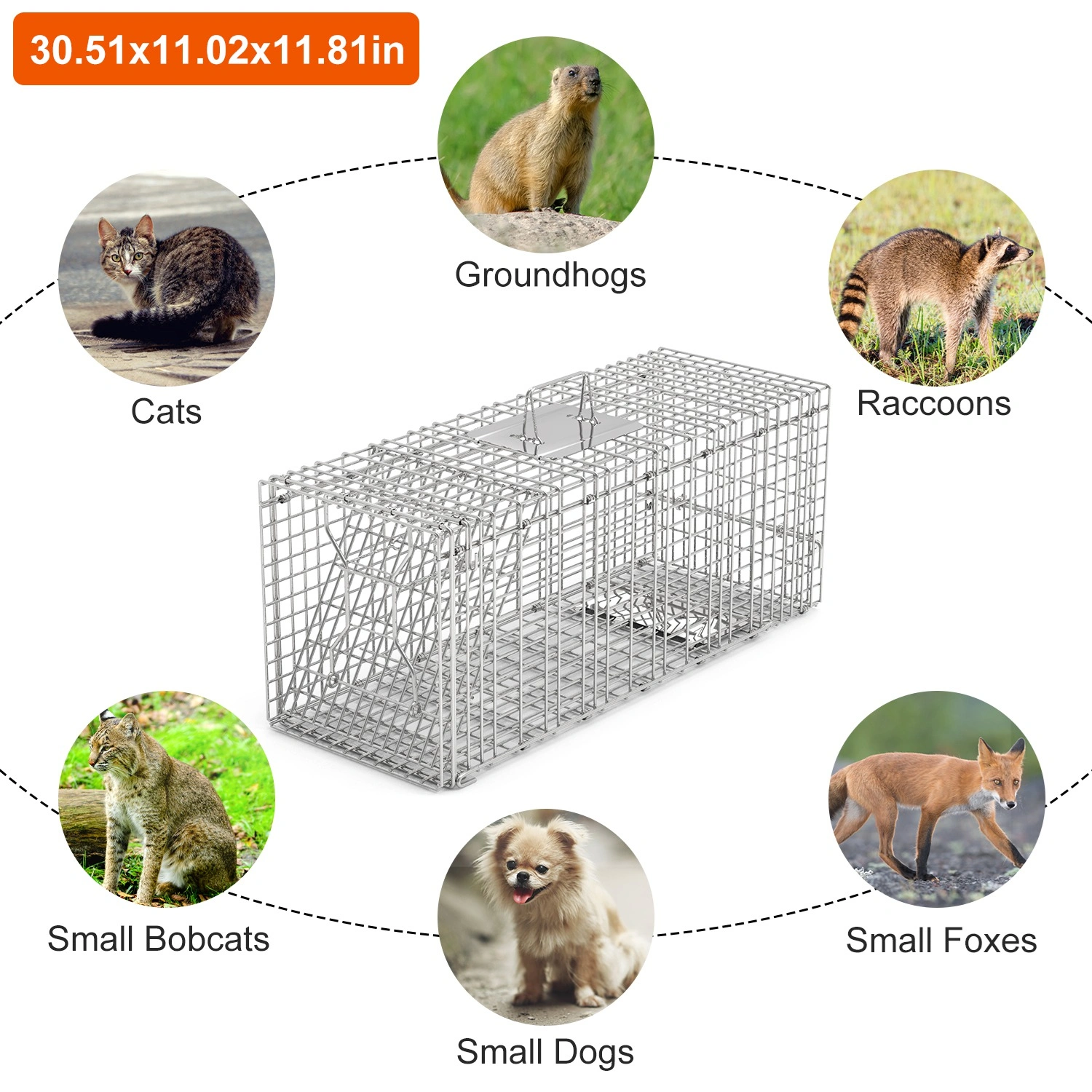Humane Animal Trap Cage 30.51x11.02x11.81in, Galvanized Wire Mesh, Sensitive Trigger Dual Doors, Handle Guard Plate, Collapsible for Raccoons/Opossums/Skunks Under 16.5lbs view 2