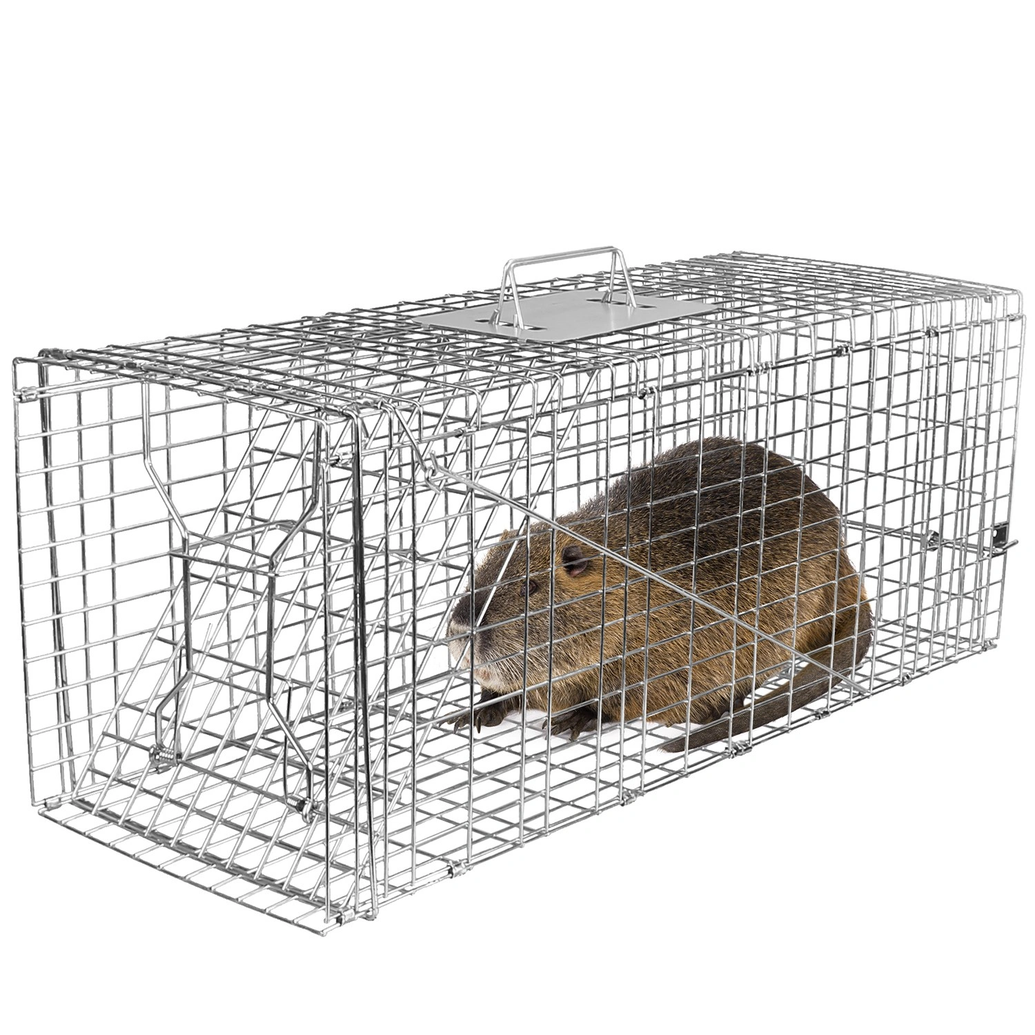 Humane Animal Trap Cage 30.51x11.02x11.81in, Galvanized Wire Mesh, Sensitive Trigger Dual Doors, Handle Guard Plate, Collapsible for Raccoons/Opossums/Skunks Under 16.5lbs view 9