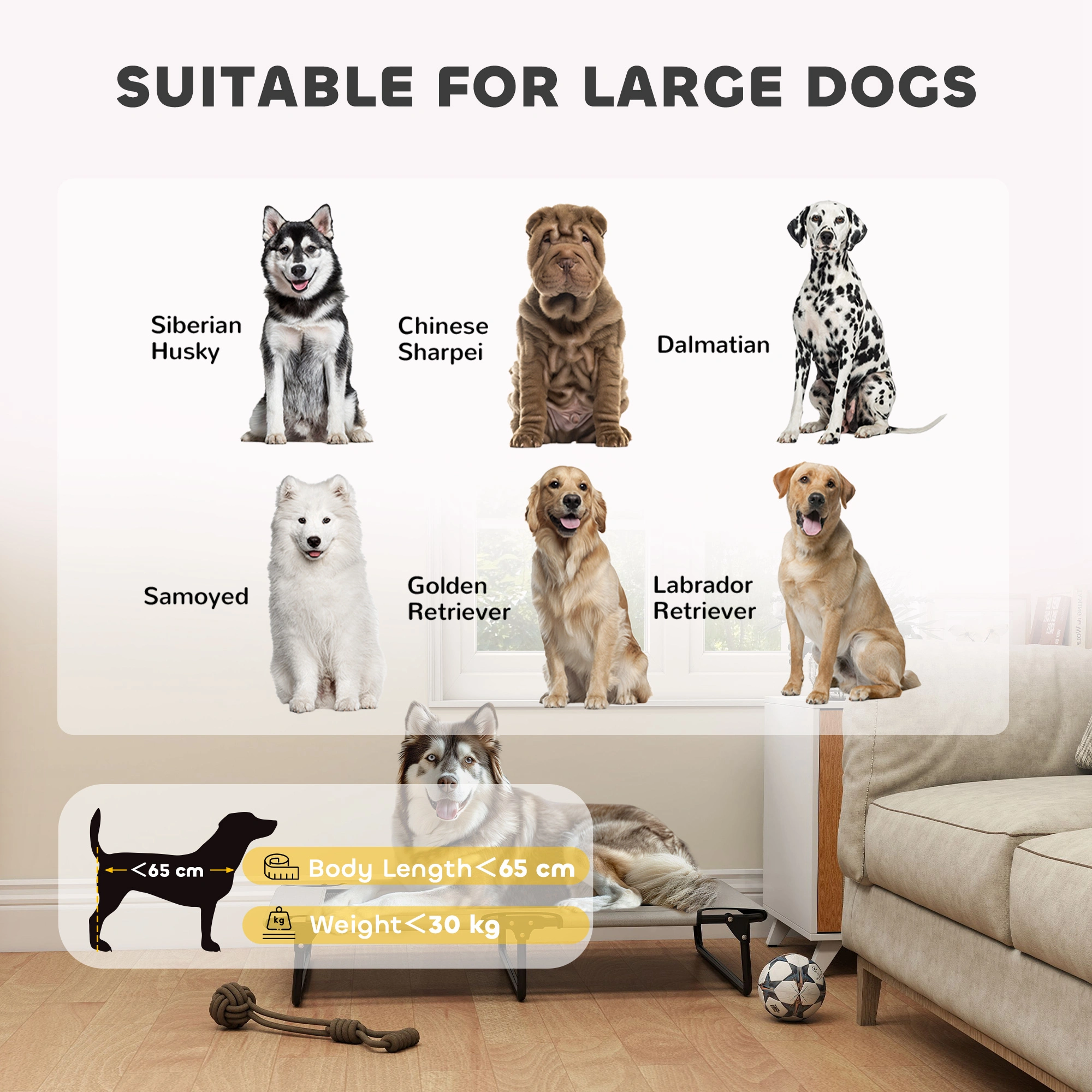 Premium Dog House, Waterproof Outdoor Pet Shelter, Large Canine Kennel with Removable Roof, All-Season Insulated Dog Home view 2