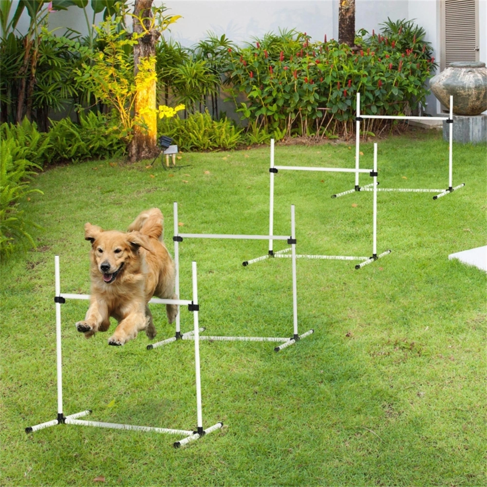 Dog Agility Training Equipment Set, Professional Outdoor Obstacle Course for Dogs, Cones Jumps & Weave Poles view 2