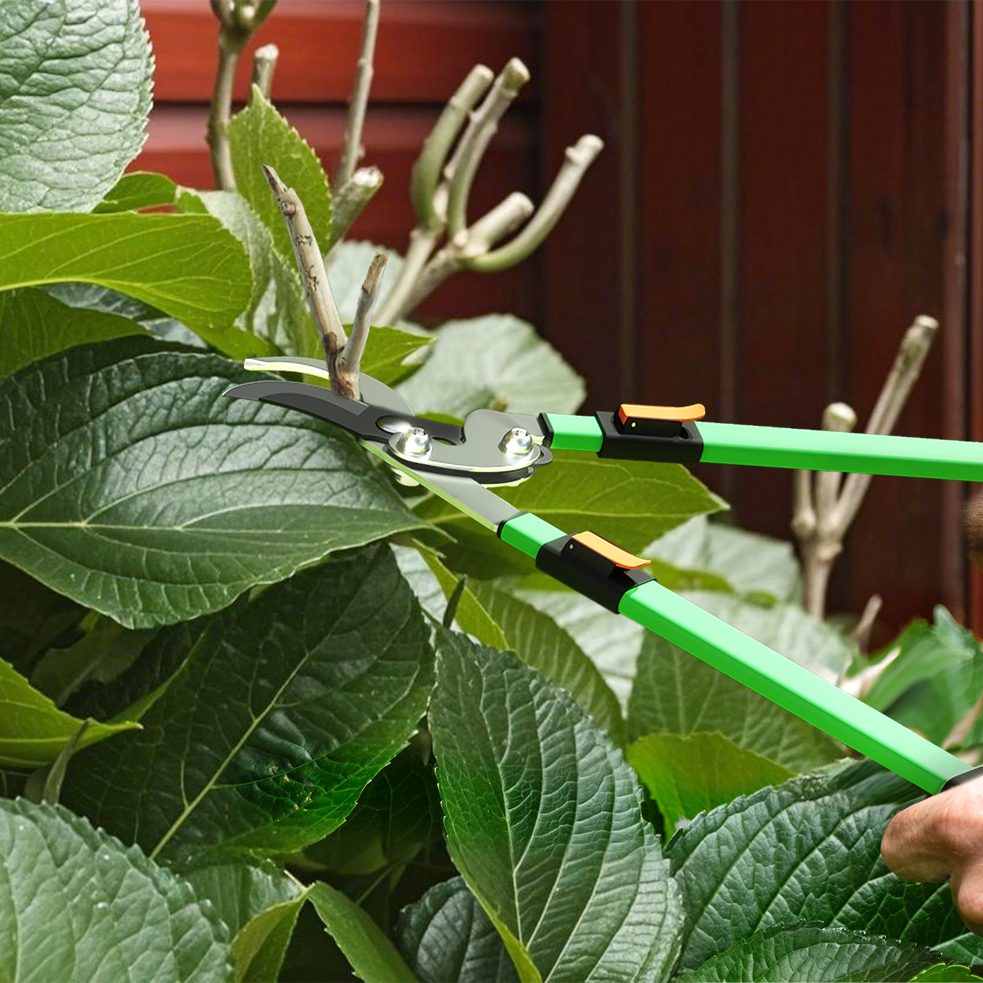 Garden Shears, Professional Bypass Pruning Clippers, Ergonomic Hand Tool for Trimming Bushes Roses, Sharp Steel Blade 8 Inch view 5