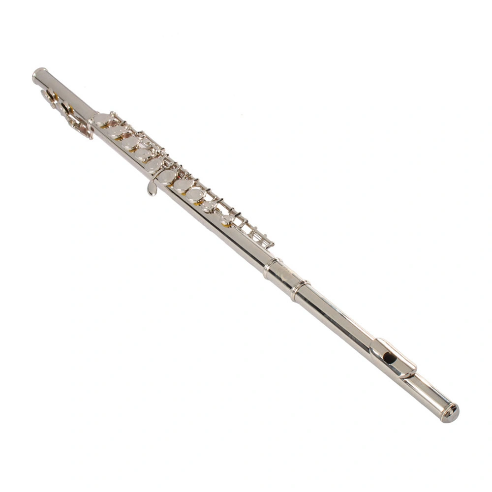 Nickel Plated C Closed Hole Concert Band Flute Silver view 10