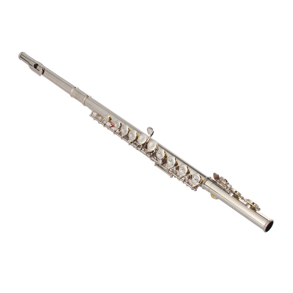 Nickel Plated C Closed Hole Concert Band Flute Silver view 11