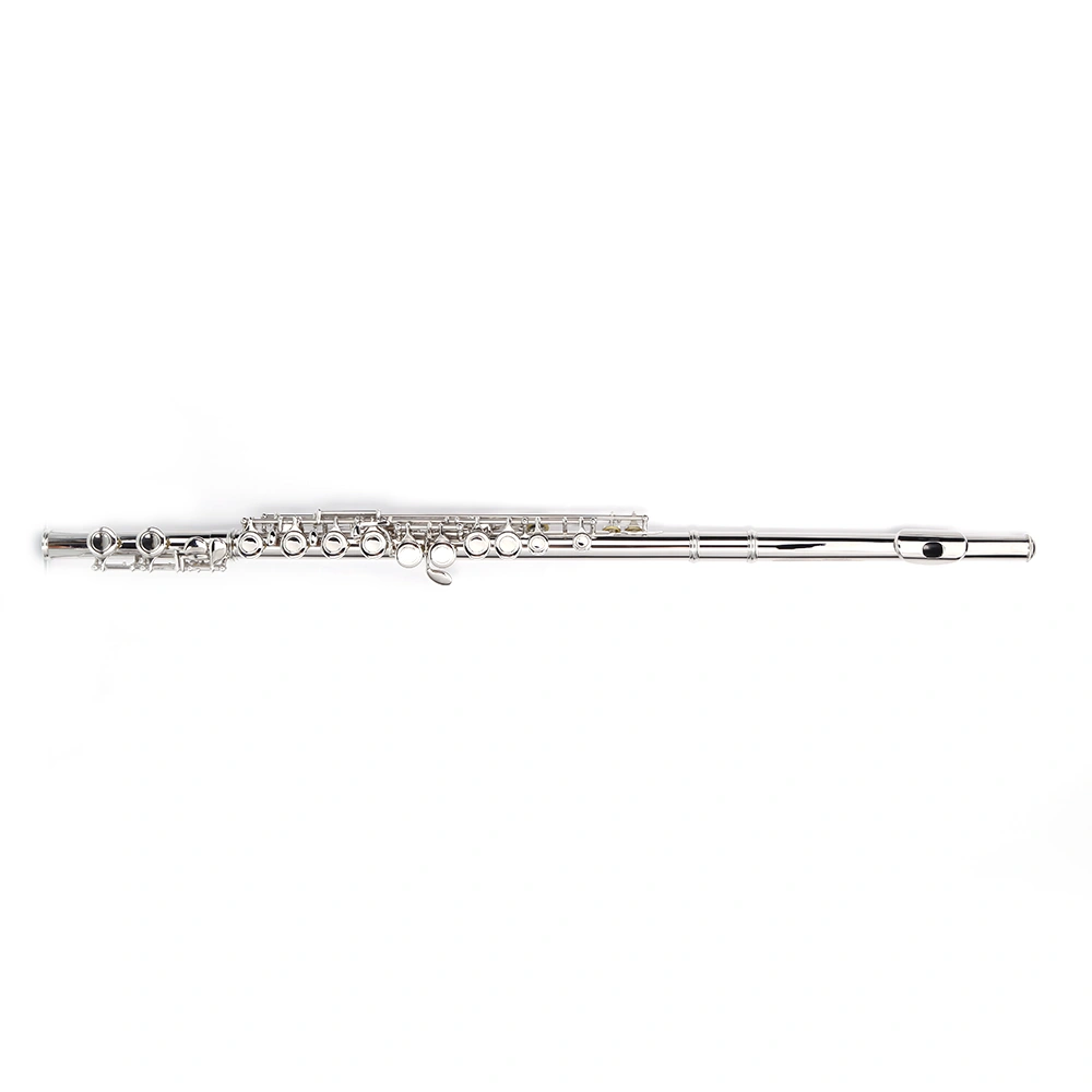 Nickel Plated C Closed Hole Concert Band Flute Silver view 12