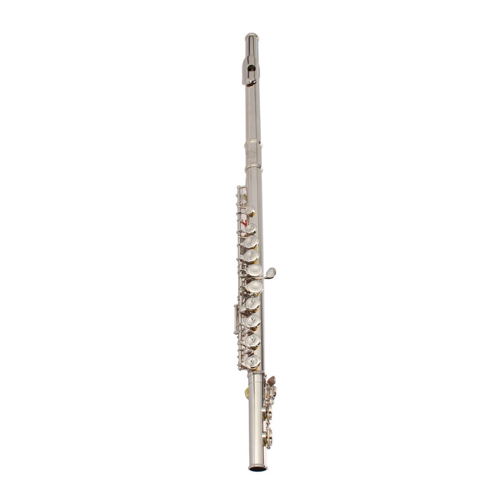 Nickel Plated C Closed Hole Concert Band Flute Silver view 13