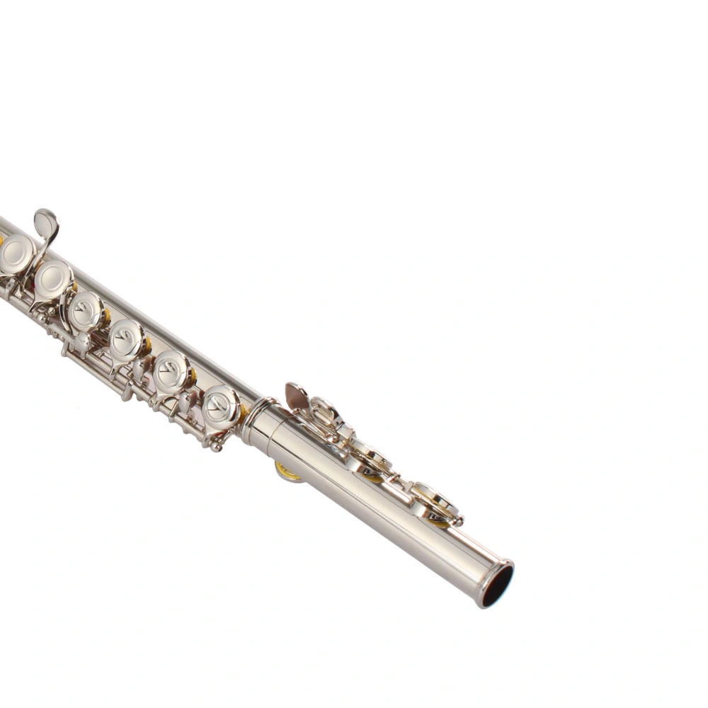 Nickel Plated C Closed Hole Concert Band Flute Silver view 17