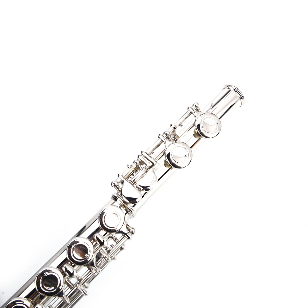 Nickel Plated C Closed Hole Concert Band Flute Silver view 2