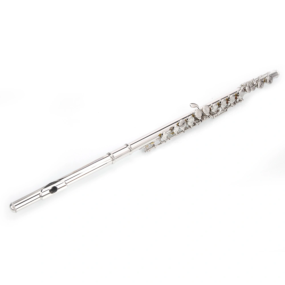 Nickel Plated C Closed Hole Concert Band Flute Silver view 20
