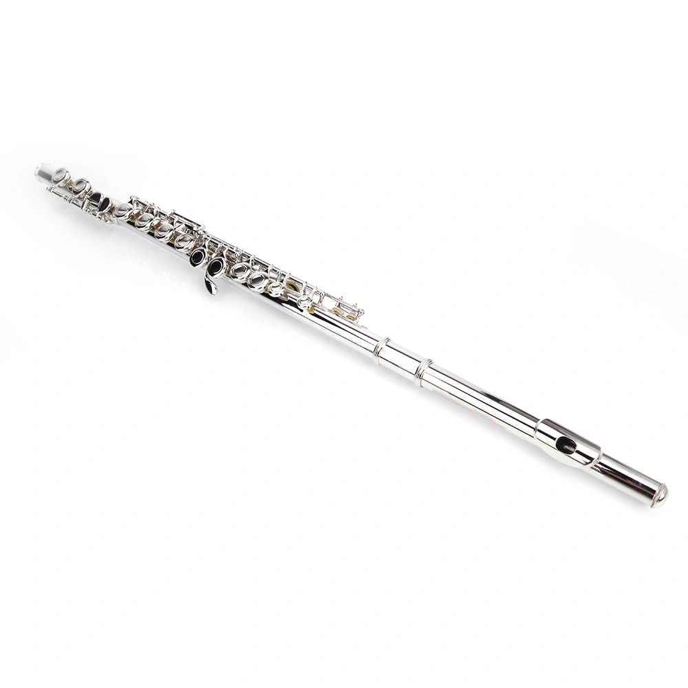 Nickel Plated C Closed Hole Concert Band Flute Silver view 21