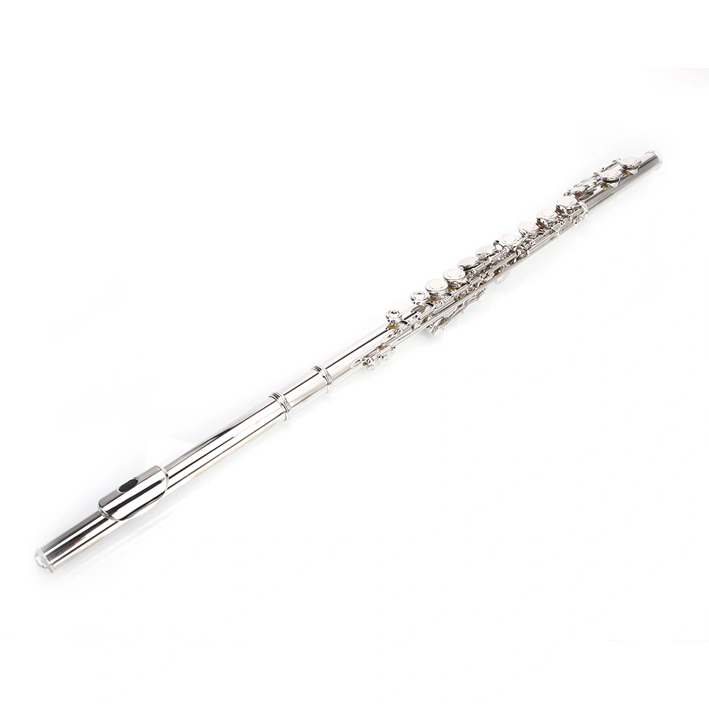 Nickel Plated C Closed Hole Concert Band Flute Silver view 23