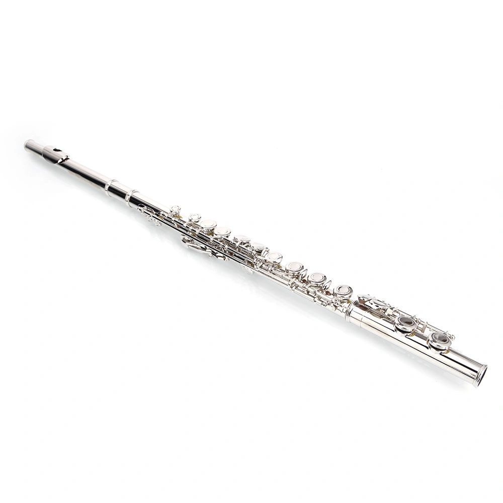 Nickel Plated C Closed Hole Concert Band Flute Silver view 24