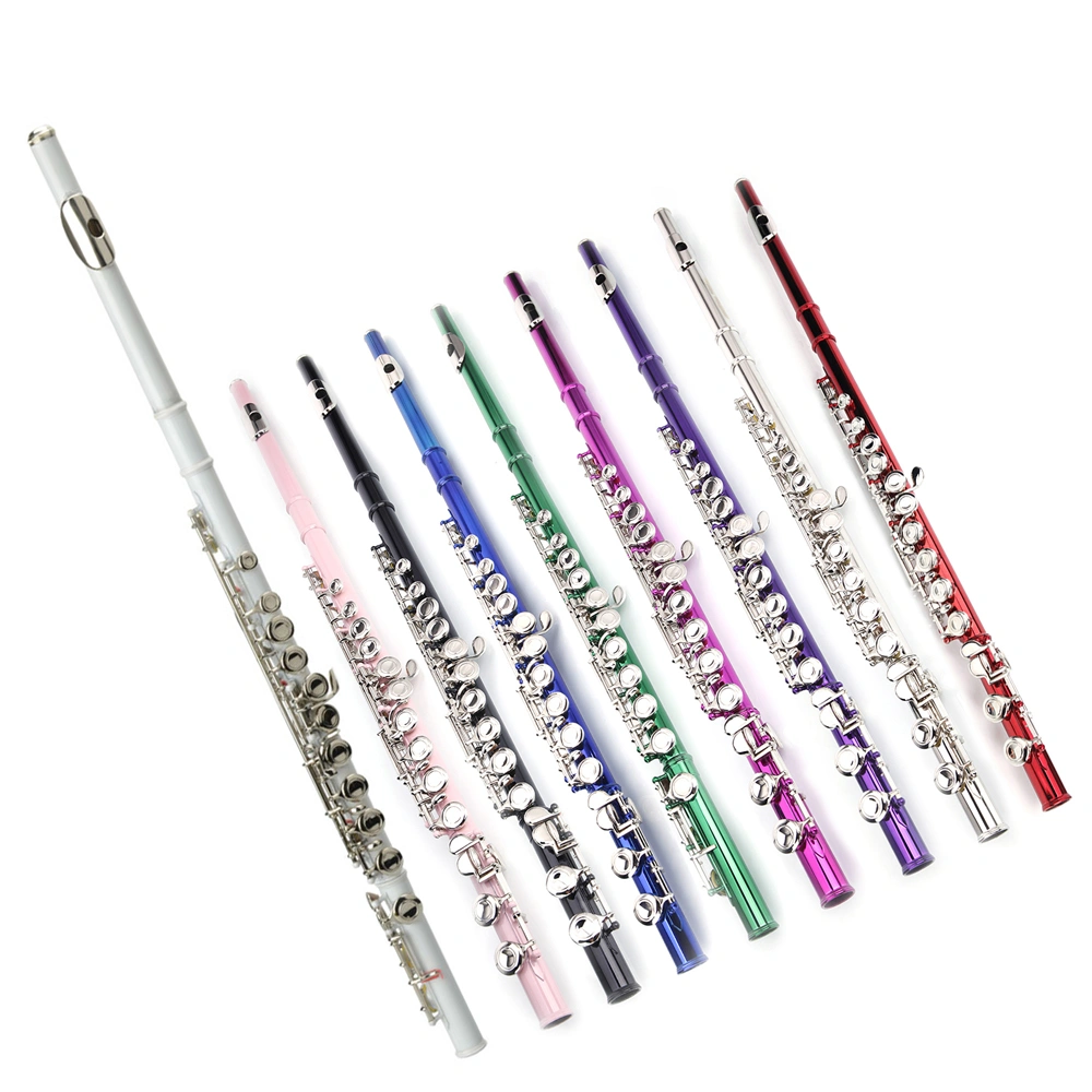 Nickel Plated C Closed Hole Concert Band Flute Silver view 25